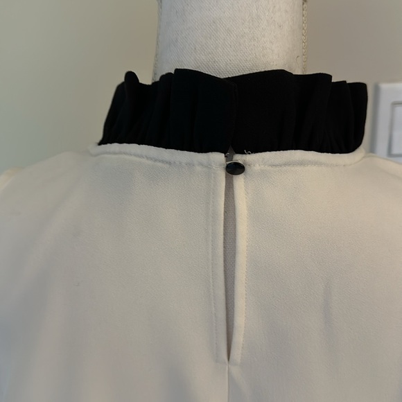 Classic Shell - Picture 5 of 5